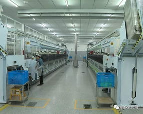 桐鄉(xiāng)科技與時尚融合 鑄就行業(yè)“單打冠軍”的技術開發(fā)之路