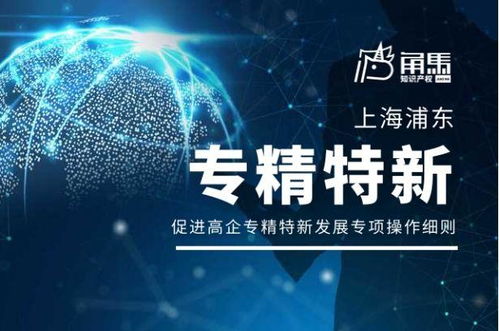 上海浦東新區(qū)促進(jìn)高新技術(shù)企業(yè)專精特新發(fā)展技術(shù)服務(wù)專項(xiàng)操作細(xì)則