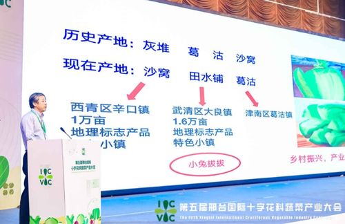 小種子撬動(dòng)大產(chǎn)業(yè) 第五屆邢臺(tái)國際十字花科蔬菜產(chǎn)業(yè)大會(huì)盛大啟帷，展現(xiàn)科技興農(nóng)新圖景